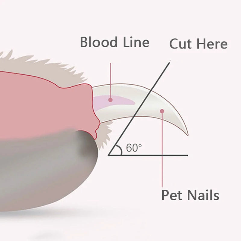 ✂️🐾 LED Pet Nail Clippers – Safe & Easy Grooming for Dogs, Cats & Small Pets